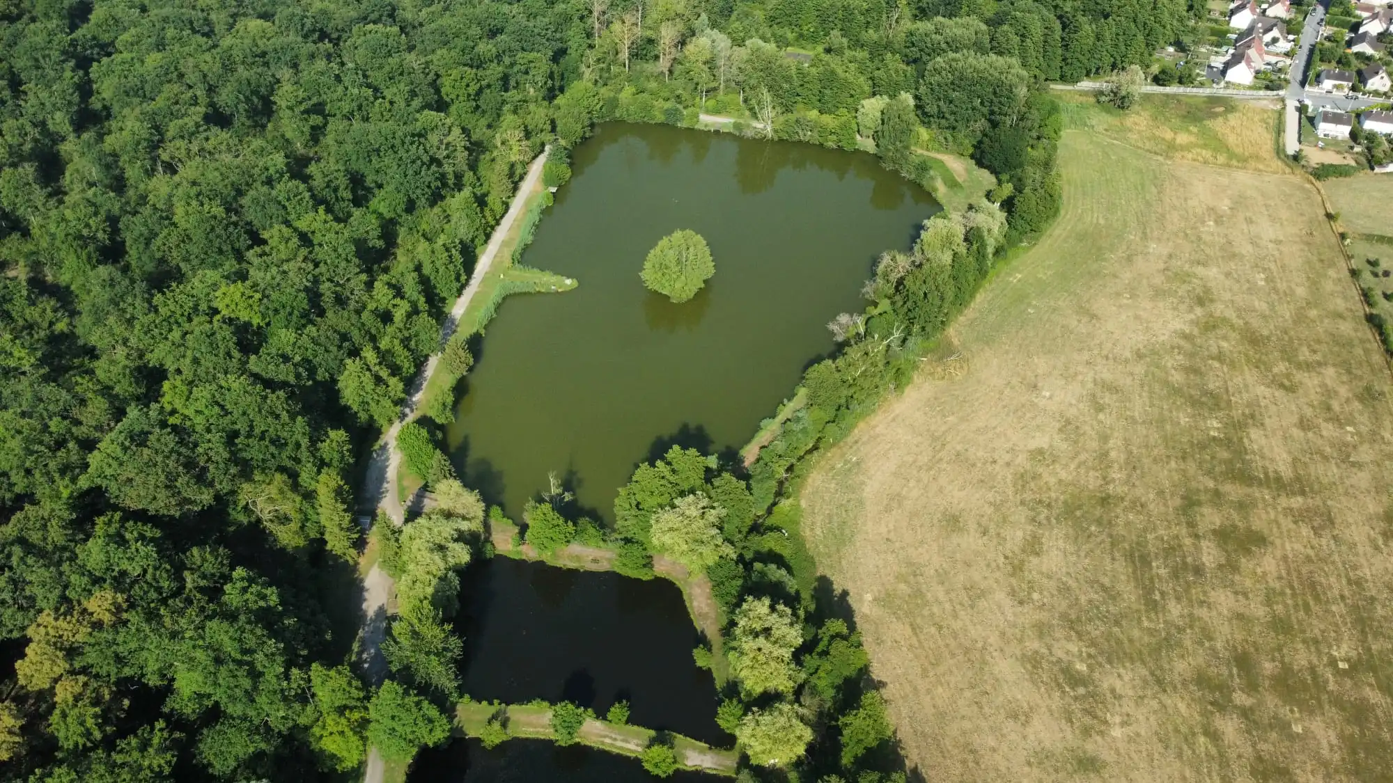 Carpe run lake